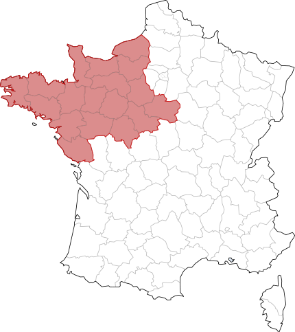 Notre secteur de distribution Lagun